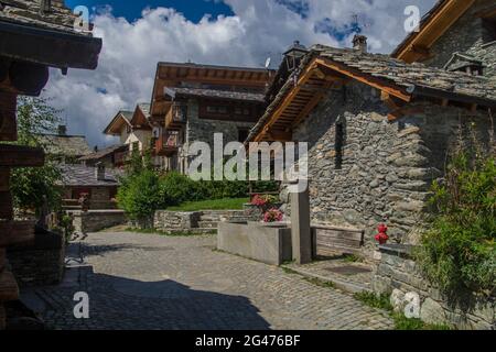 Chamois Foto Stock