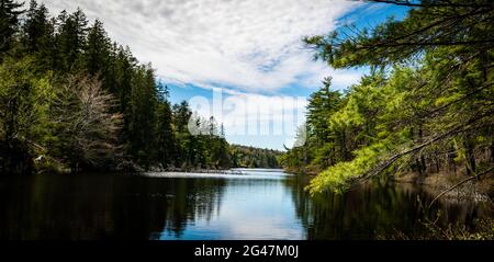 Il lago Charlies nella natura selvaggia è di laghi di calette di betulla montone blu Foto Stock