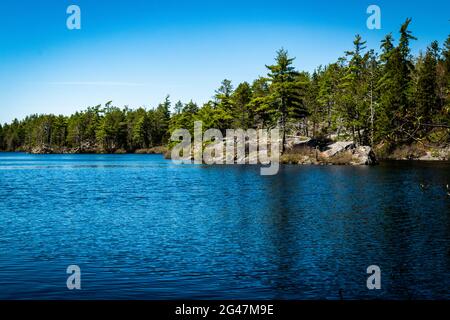 Il lago Charlies nella natura selvaggia è di laghi di calette di betulla montone blu Foto Stock