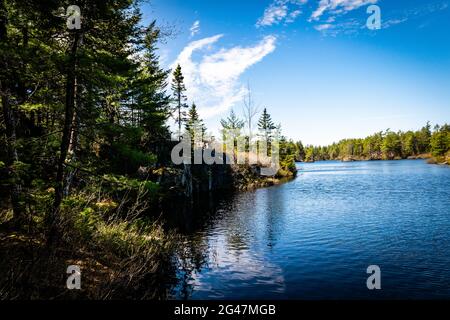 Il lago Charlies nella natura selvaggia è di laghi di calette di betulla montone blu Foto Stock