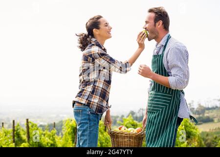 Donna che alimenta la mela all'uomo in vigna Foto Stock