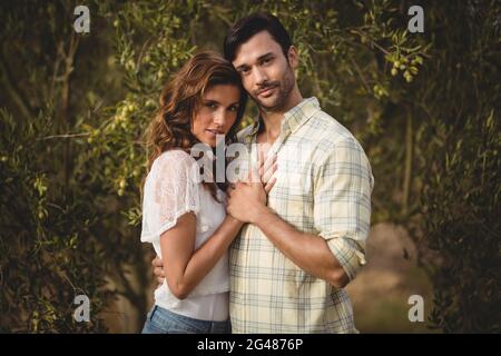 Giovane coppia abbracciata da alberi in olivicoltura Foto Stock