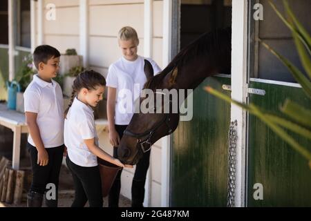 Tre bambini di alimentazione del cavallo in stabile Foto Stock