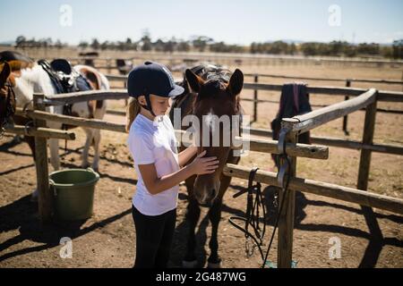 Ragazza carezzando il cavallo marrone nel ranch Foto Stock