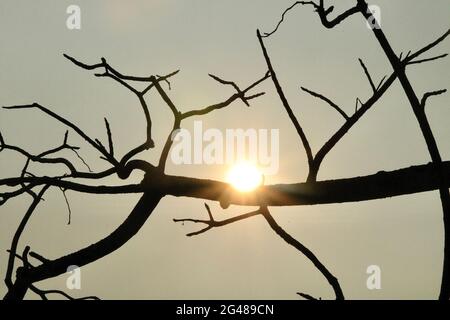 Felicità — disponibile da un tramonto vicino a te. Foto Stock