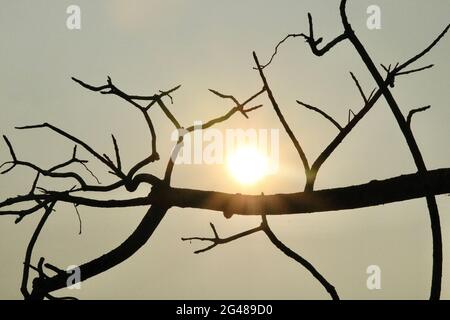 Felicità — disponibile da un tramonto vicino a te. Foto Stock