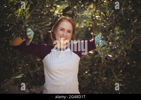 Giovane donna sorridente in piedi tra gli ulivi in fattoria Foto Stock