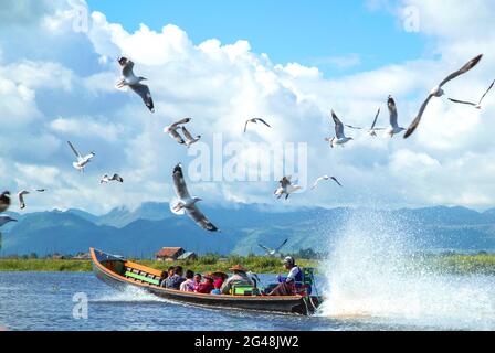 Gli uccelli che volano intorno a una barca piena di persone attraversano l'acqua, il fiume/lago dal lago Inle in Myanmar, Birmania; gli uccelli che volano sopra l'acqua; il motore Foto Stock