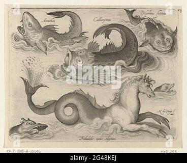 Fantastici animali acquatici, tra cui il cavallo di mare; Libelivs generatori variabili piscium compensatori; pesci d'acqua dolce, pesca marittima, rane, molluschi e esseri marini. Fantastici animali acquatici, tra cui cavallucci marini con iscrizioni in latino e olandese che identificano gli animali. Foto Stock