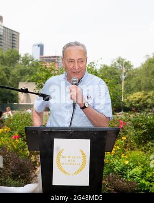 Chuck Schumer che parla alla prima festa nazionale di Juneteicesima al boschetto Juneticentesco del Cadman Plaza Park Foto Stock