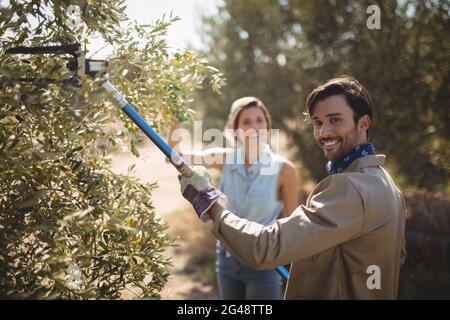 Uomo che cazzo olive con rastrello mentre si sta in piedi da donna in fattoria Foto Stock