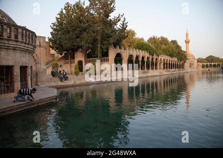 Sanliurfa, Turchia - 10282014: I visitatori non identificati del lago dei pesci, chiamato anche lago Santo con pesci sacri nel Parco Golbasi e Halil-ur-Rahman Mo Foto Stock