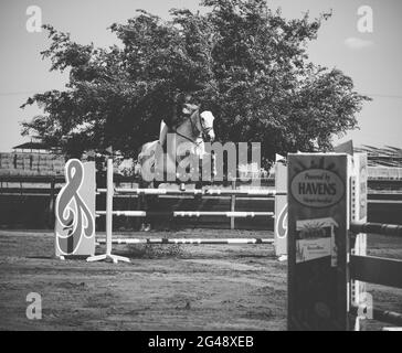 Cohen Mor e Boston de Montini. Israel Horse Jumping Championship, giugno 2021 Foto Stock