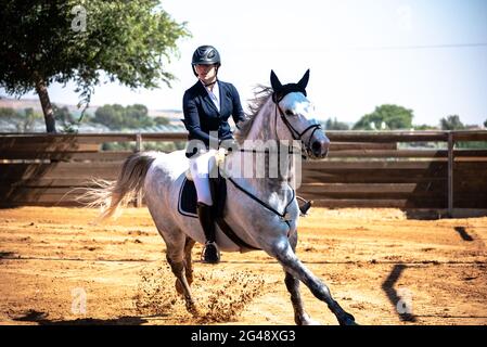 Cohen Mor e Boston de Montini. Israel Horse Jumping Championship, giugno 2021 Foto Stock