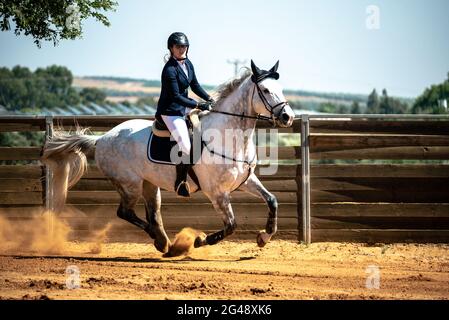 Cohen Mor e Boston de Montini. Israel Horse Jumping Championship, giugno 2021 Foto Stock