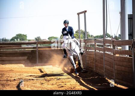 Cohen Mor e Boston de Montini. Israel Horse Jumping Championship, giugno 2021 Foto Stock