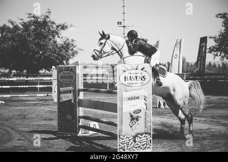 Cohen Mor e Boston de Montini. Israel Horse Jumping Championship, giugno 2021 Foto Stock