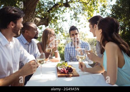 Gruppo di amici che interagiscono tra loro mentre si ha champagne Foto Stock