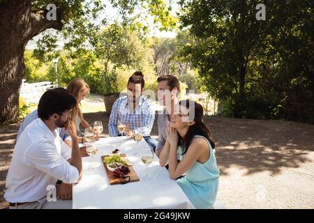 Gruppo di amici che interagiscono tra loro mentre si ha champagne Foto Stock