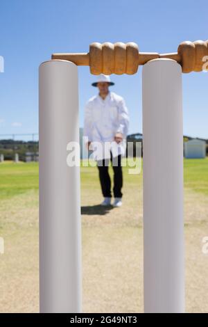 Cricket si batte contro l'arbitro sul campo Foto Stock