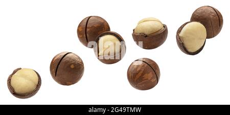 Noci di macadamia cadenti isolate su sfondo bianco Foto Stock