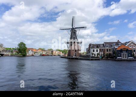 Vista sul mulino a vento Dee Adrian e sul fiume Binnen Spaarne a Haarlem Foto Stock