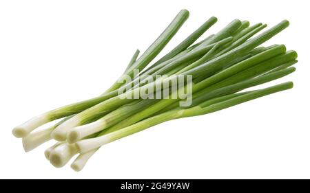 Cipolla verde, erba cipollina fresca isolata su fondo bianco Foto Stock