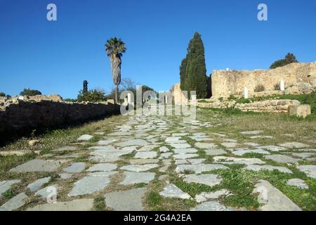 Antica strada romana alle Ville Romane di Cartagine Foto Stock