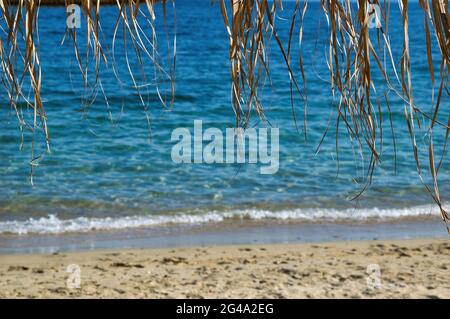 Vacanze nelle isole greche, estate 2021, la famosa spiaggia di Koukounaries , isola di Skiathos , Grecia 6-13-2021 Foto Stock