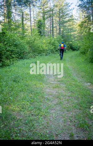 Motociclista in pista. Podere Montebello, Modigliana, Forlì, Emilia Romagna, Italia, Europa. Foto Stock