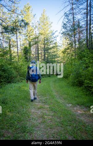 Uomo con zaino che cammina in campagna. Podere Montebello, Modigliana, Forlì, Emilia Romagna, Italia, Europa. Foto Stock
