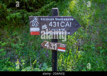 Podere Montebello, Modigliana, Forlì, Emilia Romagna, Italia, Europa. Foto Stock