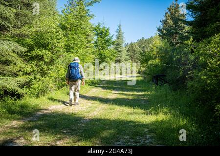 Uomo con zaino che cammina in campagna. Podere Montebello, Modigliana, Forlì, Emilia Romagna, Italia, Europa. Foto Stock