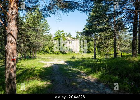 Rovine nel bosco. Podere Montebello, Modigliana, Forlì, Emilia Romagna, Italia, Europa. Foto Stock