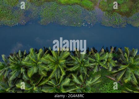 Backwaters di alapuzha e marari, KERALA Foto Stock