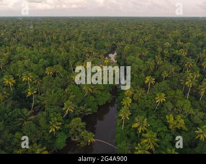 Backwaters di alapuzha e marari, KERALA Foto Stock