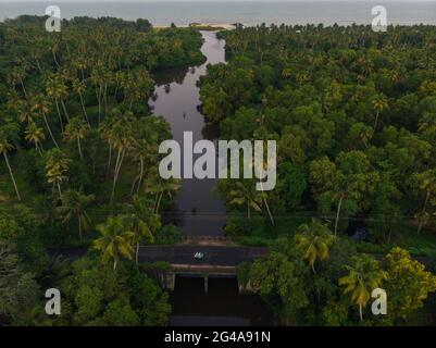 Backwaters di alapuzha e marari, KERALA Foto Stock