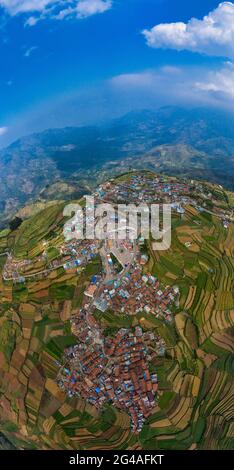 agricoltura terrazza al kodaikinal Foto Stock