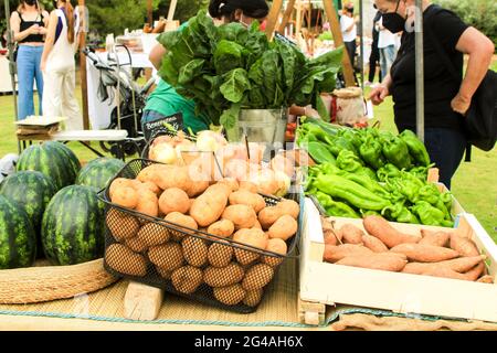 Elche, Alicante, Spagna - 20 giugno 2021: Persone che acquistano prodotti freschi per la vendita in un mercato ecologico e sostenibile che si trova nelle campagne di Elche Foto Stock