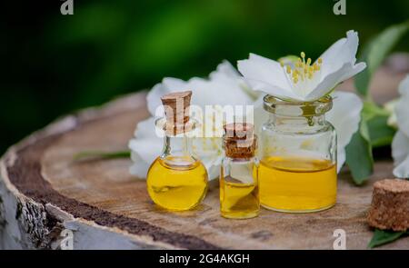 Olio essenziale e fiori di gelsomino su sfondo di legno. Procedure cosmetiche. Foto Stock