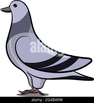 Pigeon in piedi con ombra. Uccello grigio. Uccelli di diverse parti del mondo. Uccelli comuni. Icona dell'uccello illustrazioni vettoriali Doodle isolato. Illustrazione Vettoriale