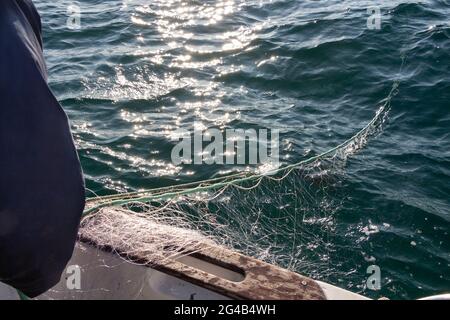 Fisherman riportando net in una barca in Bretagna Foto Stock