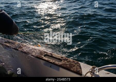 Fisherman riportando net in una barca in Bretagna Foto Stock