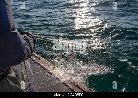 Fisherman riportando net in una barca in Bretagna Foto Stock