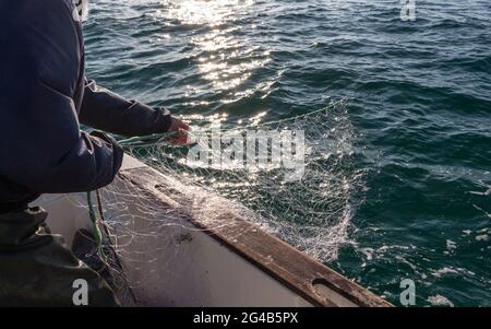 Fisherman riportando net in una barca in Bretagna Foto Stock