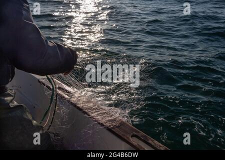 Fisherman riportando net in una barca in Bretagna Foto Stock