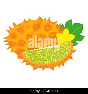 Fresco intero e tagliato a fette di kiwano frutta gialla isolato su sfondo bianco. Frutti estivi per uno stile di vita sano. Frutta biologica. Stile cartone animato. Vettore Illustrazione Vettoriale
