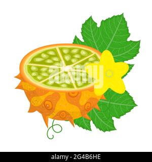Frutta fresca di kiwano gialla a metà taglio con foglie e fiori isolati su sfondo bianco. Frutti estivi per uno stile di vita sano. Frutta biologica. Stile cartoon Illustrazione Vettoriale