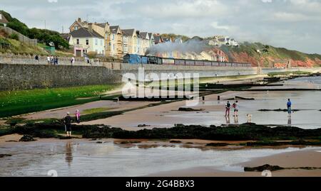 A4 classe pacific No 4464 Bittern e BR Classe standard pacific No 70000 Britannia passando Dawlish con il Mayflower railtour 15th settembre 2012. Foto Stock