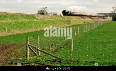 Di nuova costruzione Classe A1 Pacifico No 60163 Tornado passando attraverso il Wiltshire con la Cathedrals Express per Plymough. 10th marzo 2012. Foto Stock